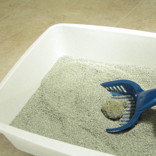 00bdeb7bd3ebfacc594c6e376152a043