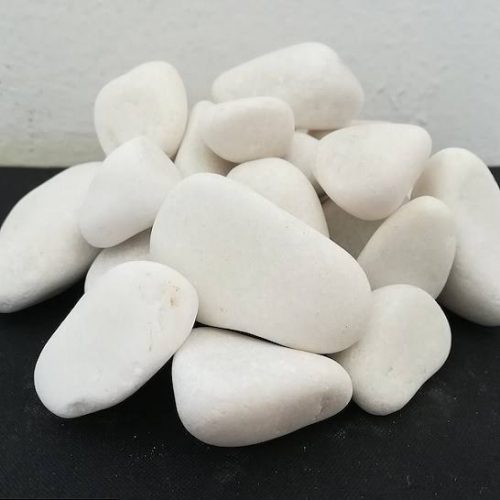 WhatsApp Image 2022-03-19 at 08.37.33(2)